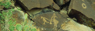 Native American Petroglyphs NM