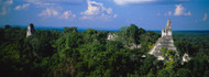 High Angle View of Temple Tikal