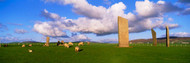 Stones of Stenness Scotland