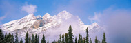 Albertas Rockies with Tree Tops Banff