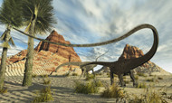 Two Diplodocus Dinosaurs Search For Food In A Desert Landscape