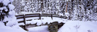 Snow Covered Footbridge Banff National Park