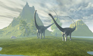 Diplodocus Dinosaurs Walk Together In The Afternoon In The Prehistoric Age