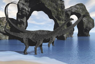 Diplodocus Dinosaurs Wade Through Shallow Waters Of A Beautiful Seashore