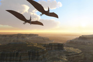 Two Pterodactyl Flying Dinosaurs Soar Above A Beautiful Canyon