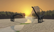 Two Diplodocus Dinosaurs Come To A River For A Drink In Prehistoric Times