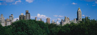 Manhattan Skyline with Treetops