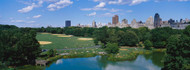 Great Lawn Central Park Manhattan