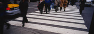 Zebra Crossing New York City