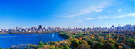 View of Manhattan and Central Park Skyline