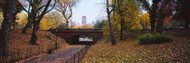 Bridge in a Park Central Park
