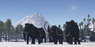 A Herd Of Woolly Mammoths Migrate To A Warmer Climate In The Pleistocene Age