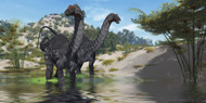 Two Apatosaurus Dinosaur Wade Through A Lush Pond