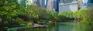 Pond in a Central Park South