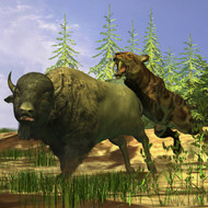 A Saber-Tooth Cat Pounces Onto A Frightened Buffalo