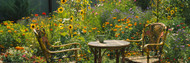 Empty Chairs And A Table In A Garden Taos