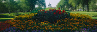 Flowers and Statue Grant Park
