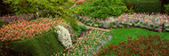 Flowers in Butchart Gardens Brentwood Bay