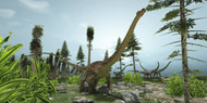 A Herd Of Diplodocus Dinosaurs Graze On Trees