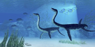 Plesiosaurus Dinosaurs Swimming The Jurassic Seas