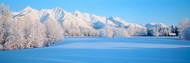 Chugach Mountains In Winter