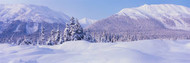 Chugach Mountains Winter Alaska