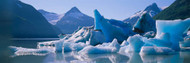 Glaciers in a Lake Chugach Mountains