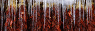 Red Chili Ristras with Icicles Taos