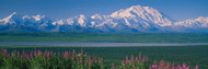 Snow Covered Mountains Denali National Park