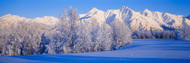 Snowcapped Mountains On A Landscape Alaska