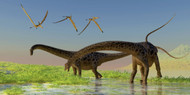 A Flock Of Pterosaur Birds Fly Over Two Diplodocus Dinosaur
