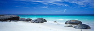 Boulders on the Beach Flinders Bay