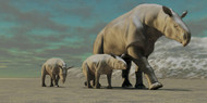 A Paraceratherium Mother With Two Twin Calves Walks Along A Desert