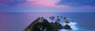 Nugget Point  South Island New Zealand
