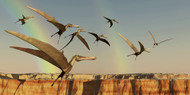 A Flock Of Pterodactyls Fly Out Of A Canyon