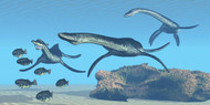 Plesiosaurus Dinosaurs Hunt A School Of Dapedius Fish