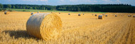 Bales of Hay Southern Germany