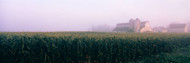 Barn in a Field Illinois