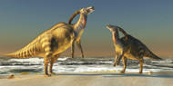 Two Parasaurolophus Dinosaurs Bellow At Each Other