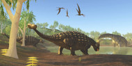 Ankylosaurus Dinosaurs Drink From A Swamp Along With An Argentinosaurus