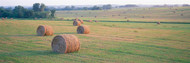 Hay Bales in a Field Kansas