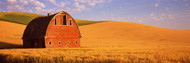 Old Barn in a Wheat Field Palouse
