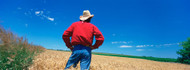 Rear View of a Farmer in a Field