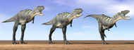 Three Aucasaurus Dinosaurs Standing In The Desert By Daylight