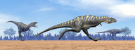 Three Aucasaurus Dinosaurs Running In The Desert