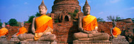 Buddha Statues Near Bangkok Thailand