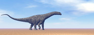 Large Argentinosaurus Dinosaur Walking In The Desert