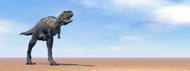Large Aucasaurus Dinosaur Standing In The Desert
