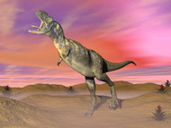 Aucasaurus Dinosaur Roaring In The Desert By Sunset