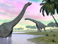 Two Brachiosaurus Dinosaurs In Landscape With Water And Palm Trees